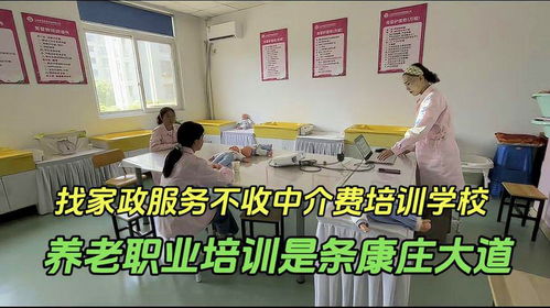 找家政服務不收中介費的職業技能培訓學校,滿足社會各種需求