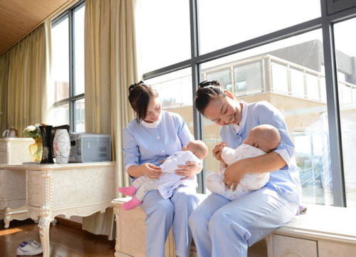 塘廈家政服務(wù)公司 塘廈家政服務(wù)公司電話 金貝貝家政公司