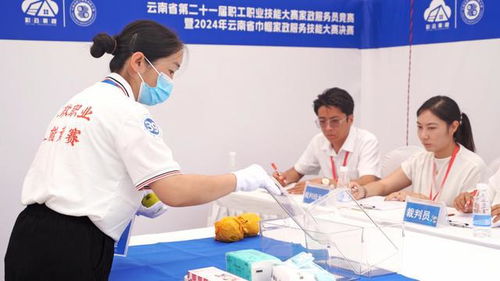 云南省家政服務技能大賽暨家政進社區(qū)推廣示范活動啟動