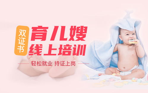 家政服務(wù)人員的分類及服務(wù)內(nèi)容概述