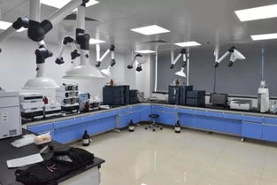 號(hào)外！玉環(huán)市食品藥品檢驗(yàn)檢測(cè)中心搬家啦，家政服務(wù)同步煥新